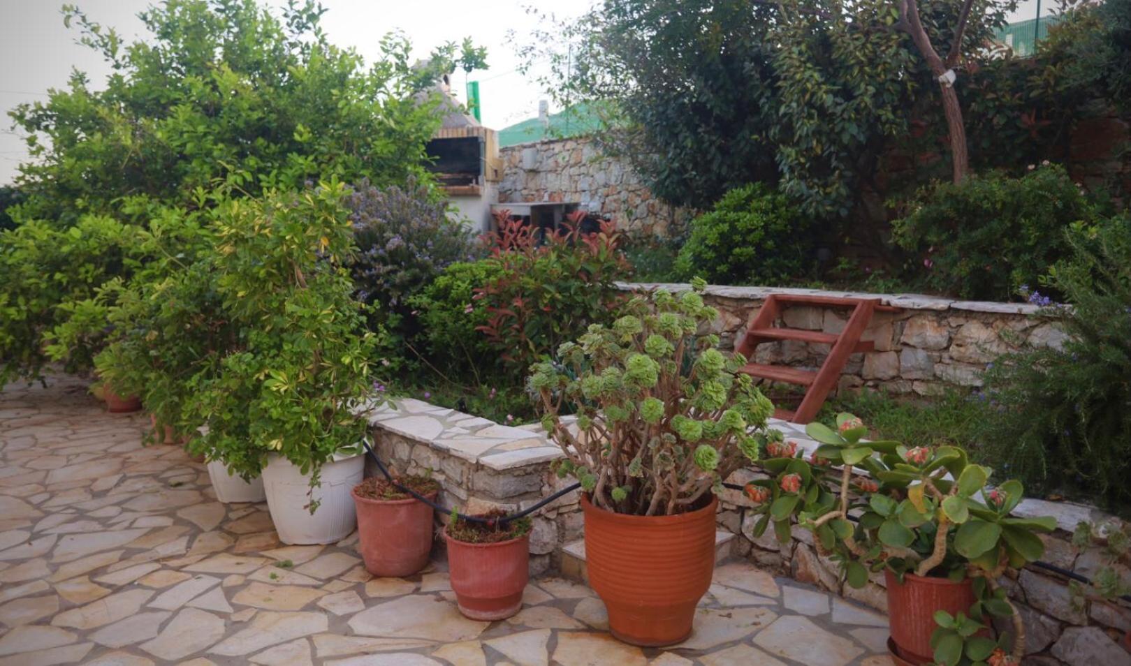 Hotel apartamentowy Athena Kythera *